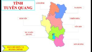 Dịch như thế này gửi hàng đi Mỹ tại Tuyên Quang ở đâu?