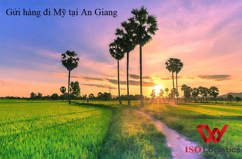 Gửi hàng đi Mỹ tại An Giang