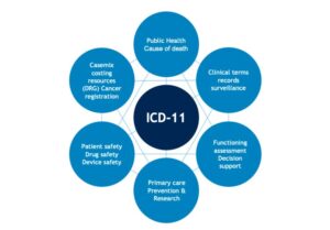 Các dịch vụ chính trong cảng cạn ICD