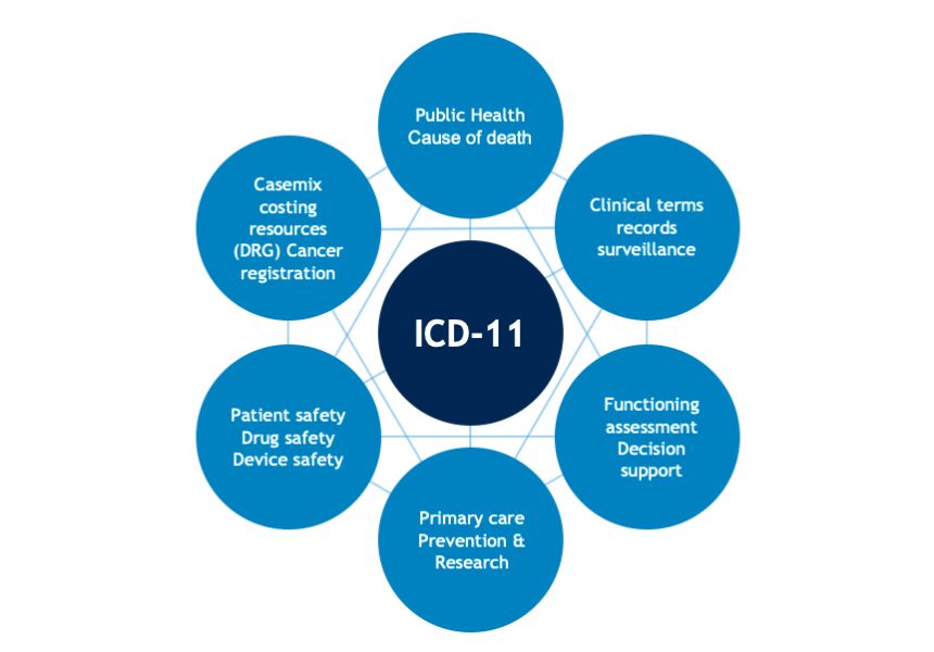 Các dịch vụ chính trong cảng cạn ICD