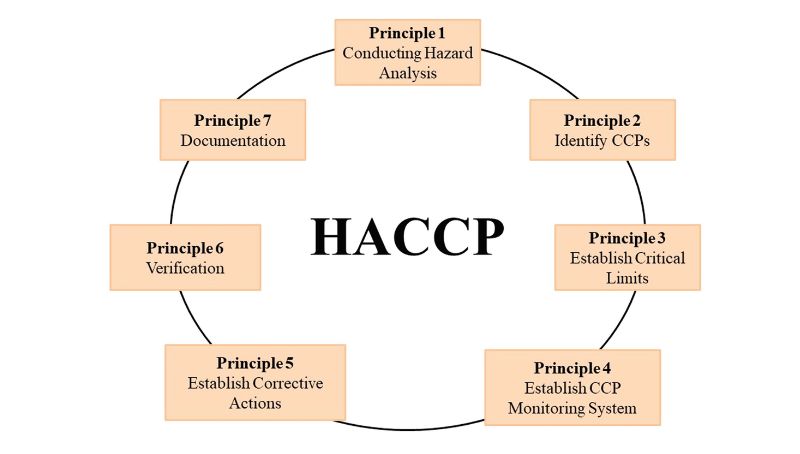 nguyên tắc HACCP 