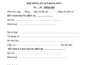 Hợp đồng ký gửi hàng hóa