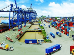 Tạm nhập tái xuất